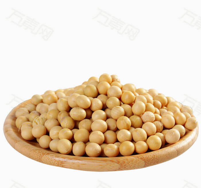 Soybean Drying Process